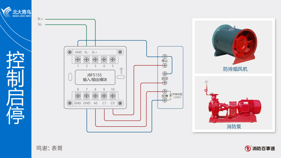 JBF5155ģ�K�Ӿ�